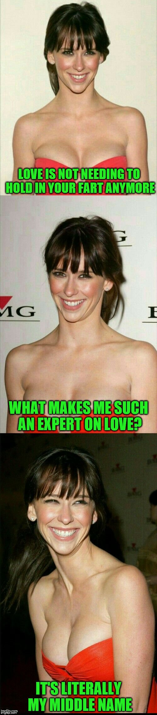 Sounds like she's the expert (A JBmemegeek request... obviously) | LOVE IS NOT NEEDING TO HOLD IN YOUR FART ANYMORE; WHAT MAKES ME SUCH AN EXPERT ON LOVE? IT'S LITERALLY MY MIDDLE NAME | image tagged in jennifer love hewitt joke template,memes,jbmemegeek,personal challenge,love,farts | made w/ Imgflip meme maker