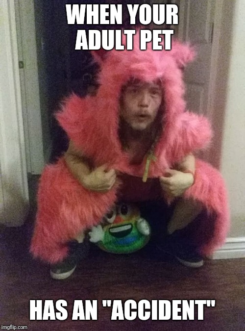 Hopi Furry | WHEN YOUR ADULT PET; HAS AN "ACCIDENT" | image tagged in hopi furry,memes,furry | made w/ Imgflip meme maker