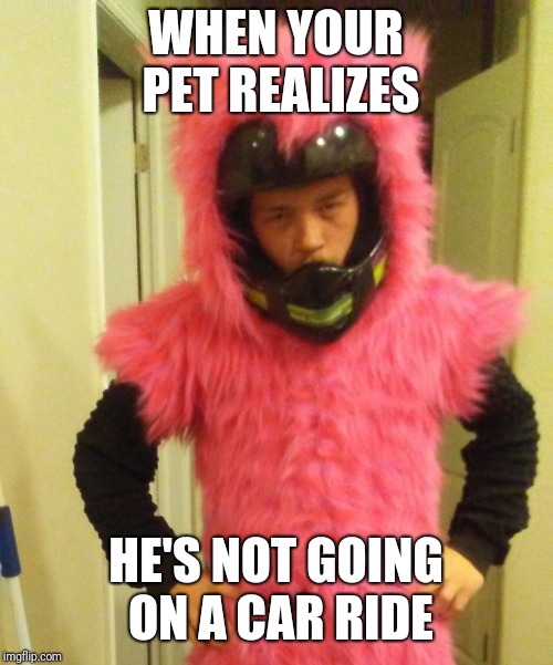 Pissy Furry Hopi | WHEN YOUR PET REALIZES; HE'S NOT GOING ON A CAR RIDE | image tagged in memes,furry | made w/ Imgflip meme maker