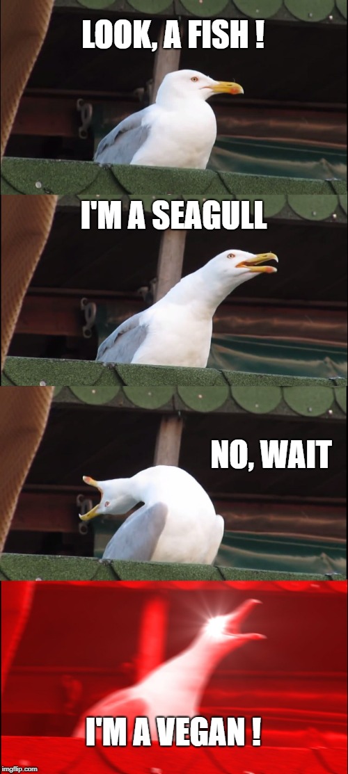 Inhaling Seagull Meme | LOOK, A FISH ! I'M A SEAGULL; NO, WAIT; I'M A VEGAN ! | image tagged in memes,inhaling seagull | made w/ Imgflip meme maker
