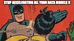 Bat slap | STOP ACCELERATING ALL YOUR DATA MODELS !! | image tagged in bat slap | made w/ Imgflip meme maker