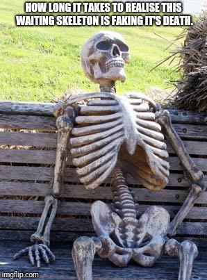 Waiting Skeleton Meme | HOW LONG IT TAKES TO REALISE THIS WAITING SKELETON IS FAKING IT'S DEATH. | image tagged in memes,waiting skeleton | made w/ Imgflip meme maker