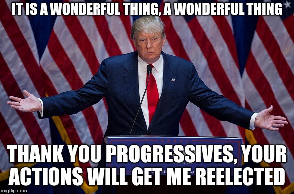 Donald Trump | IT IS A WONDERFUL THING, A WONDERFUL THING; THANK YOU PROGRESSIVES, YOUR ACTIONS WILL GET ME REELECTED | image tagged in donald trump | made w/ Imgflip meme maker