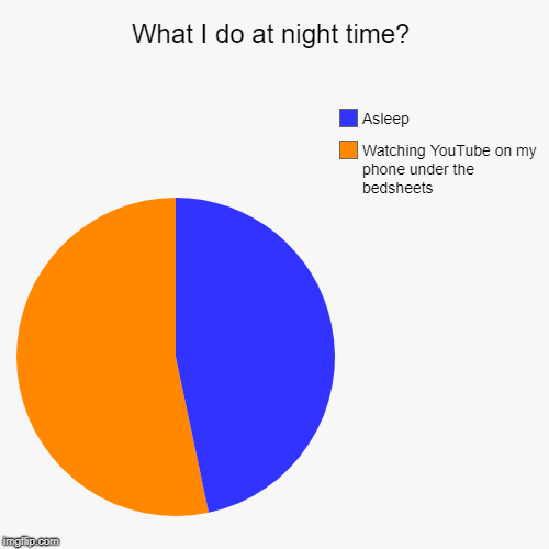 What I do at night time? | Watching YouTube on my phone under the bedsheets, Asleep | image tagged in funny,pie charts | made w/ Imgflip chart maker