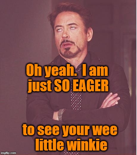 Face You Make Robert Downey Jr Meme | Oh yeah.  I am just SO EAGER to see your wee little winkie | image tagged in memes,face you make robert downey jr | made w/ Imgflip meme maker