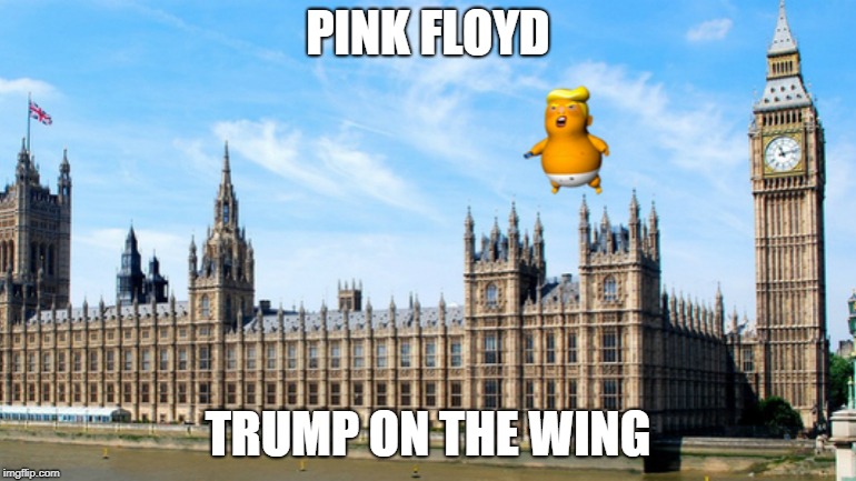 Trump on the Wing | PINK FLOYD; TRUMP ON THE WING | image tagged in trump,pink floyd | made w/ Imgflip meme maker