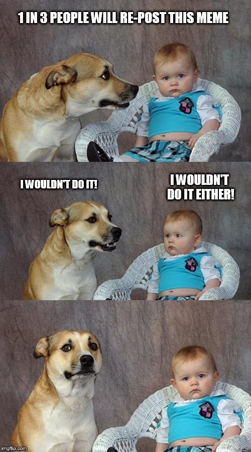 Dad Joke Dog | 1 IN 3 PEOPLE WILL RE-POST THIS MEME; I WOULDN'T DO IT! I WOULDN'T DO IT EITHER! | image tagged in memes,dad joke dog | made w/ Imgflip meme maker