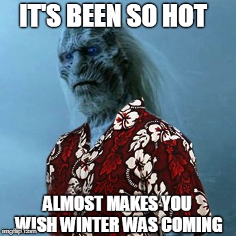 White Walker Hawaiian Shirt | IT'S BEEN SO HOT; ALMOST MAKES YOU WISH WINTER WAS COMING | image tagged in white walker hawaiian shirt | made w/ Imgflip meme maker