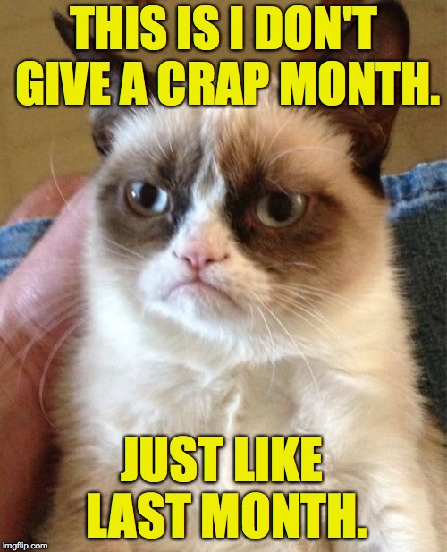 Grumpy Cat Meme | THIS IS I DON'T GIVE A CRAP MONTH. JUST LIKE LAST MONTH. | image tagged in memes,grumpy cat | made w/ Imgflip meme maker