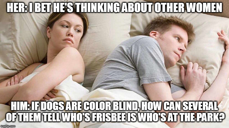 I Bet He's Thinking About Other Women Meme | HER: I BET HE'S THINKING ABOUT OTHER WOMEN; HIM: IF DOGS ARE COLOR BLIND, HOW CAN SEVERAL OF THEM TELL WHO'S FRISBEE IS WHO'S AT THE PARK? | image tagged in i bet he's thinking about other women | made w/ Imgflip meme maker