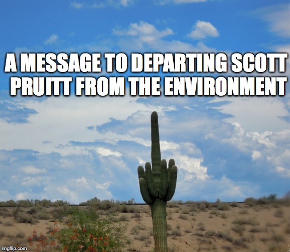 Environment: "F" You Scott Pruitt | A MESSAGE TO DEPARTING SCOTT PRUITT FROM THE ENVIRONMENT | image tagged in scott pruitt | made w/ Imgflip meme maker