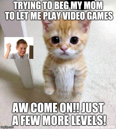 Cute Cat | TRYING TO BEG MY MOM TO LET ME PLAY VIDEO GAMES; AW COME ON!! JUST A FEW MORE LEVELS! | image tagged in memes,cute cat | made w/ Imgflip meme maker