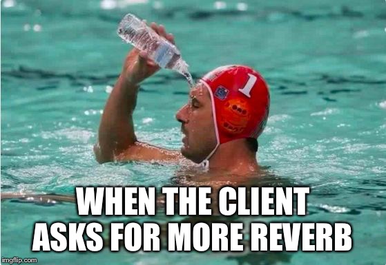 Waterbottle Swimmer | WHEN THE CLIENT ASKS FOR MORE REVERB | image tagged in waterbottle swimmer | made w/ Imgflip meme maker