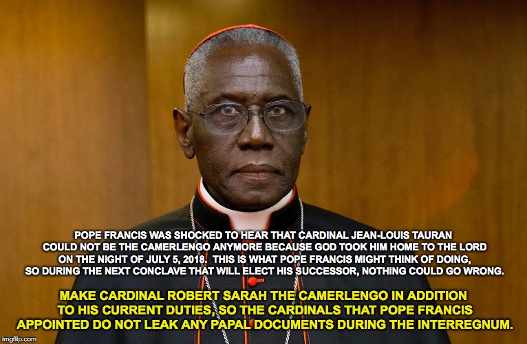 Why Pope Francis Should Make Cardinal Robert Sarah The Camerlengo | POPE FRANCIS WAS SHOCKED TO HEAR THAT CARDINAL JEAN-LOUIS TAURAN COULD NOT BE THE CAMERLENGO ANYMORE BECAUSE GOD TOOK HIM HOME TO THE LORD ON THE NIGHT OF JULY 5, 2018.  THIS IS WHAT POPE FRANCIS MIGHT THINK OF DOING, SO DURING THE NEXT CONCLAVE THAT WILL ELECT HIS SUCCESSOR, NOTHING COULD GO WRONG. MAKE CARDINAL ROBERT SARAH THE CAMERLENGO IN ADDITION TO HIS CURRENT DUTIES, SO THE CARDINALS THAT POPE FRANCIS APPOINTED DO NOT LEAK ANY PAPAL DOCUMENTS DURING THE INTERREGNUM. | image tagged in pope francis,cardinal robert sarah,camerlengo,divine worship and discipline of the sacraments,the next conclave,interregnum | made w/ Imgflip meme maker