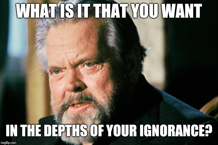 Depths of your ignorance | WHAT IS IT THAT YOU WANT; IN THE DEPTHS
OF YOUR IGNORANCE? | image tagged in orson welles,frozen peas,outtakes,bloopers,anger,irritation | made w/ Imgflip meme maker