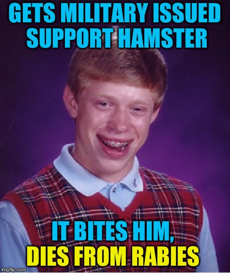 Bad Luck Brian Meme | GETS MILITARY ISSUED SUPPORT HAMSTER DIES FROM RABIES IT BITES HIM, | image tagged in memes,bad luck brian | made w/ Imgflip meme maker