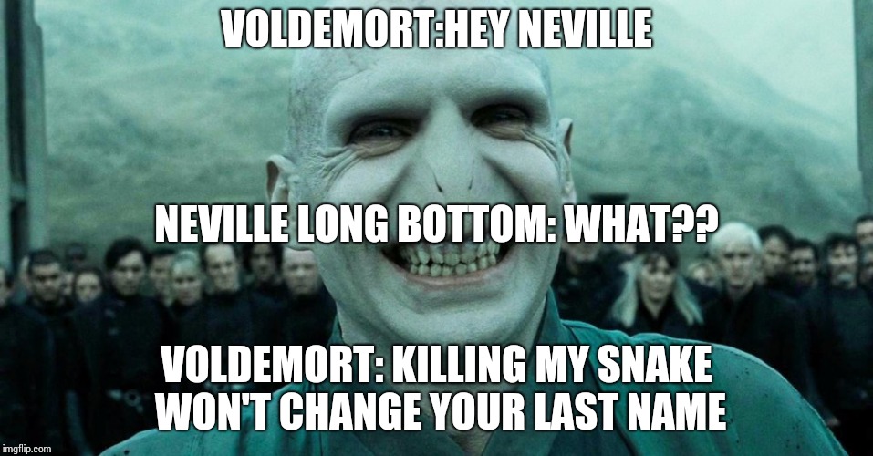 Savage Harry Potter joke | VOLDEMORT:HEY NEVILLE; NEVILLE LONG BOTTOM: WHAT?? VOLDEMORT: KILLING MY SNAKE WON'T CHANGE YOUR LAST NAME | image tagged in savage harry potter joke | made w/ Imgflip meme maker