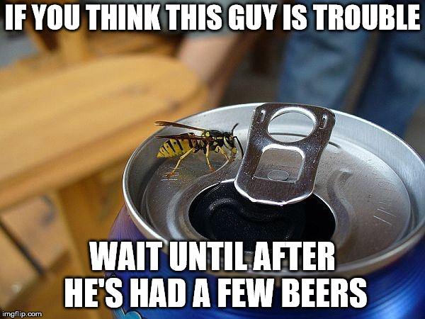 I hate mean drunks | IF YOU THINK THIS GUY IS TROUBLE; WAIT UNTIL AFTER HE'S HAD A FEW BEERS | image tagged in yellow jacket,wasp,beer,meanness | made w/ Imgflip meme maker