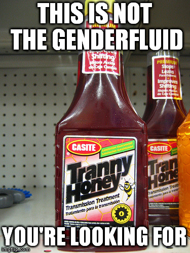 THIS IS NOT THE GENDERFLUID; YOU'RE LOOKING FOR | image tagged in genderfluid | made w/ Imgflip meme maker