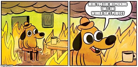 This is Fine (Blank) | HERE YOU ARE NITPICKING THAT THE WORLD ISN'T PERFECT | image tagged in this is fine blank | made w/ Imgflip meme maker