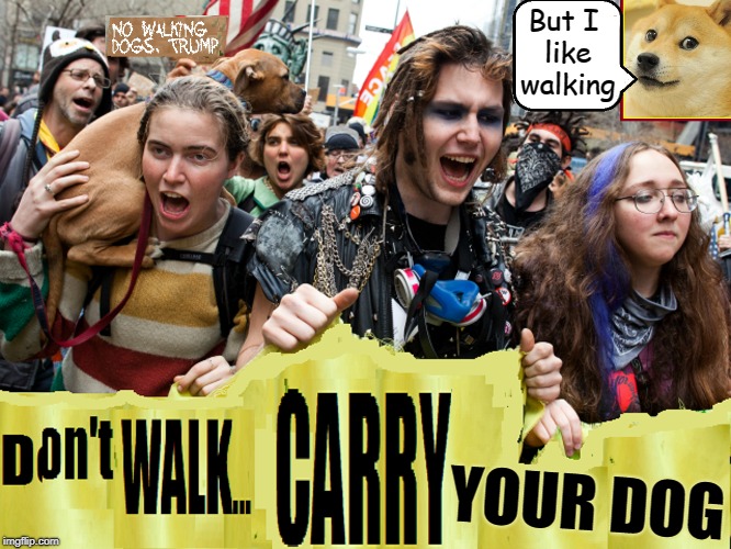 Latest Protest | But I like walking; YOUR DOG | image tagged in vince vance,protesters,retarded liberal protesters,lib protestors,dogs,resistance | made w/ Imgflip meme maker