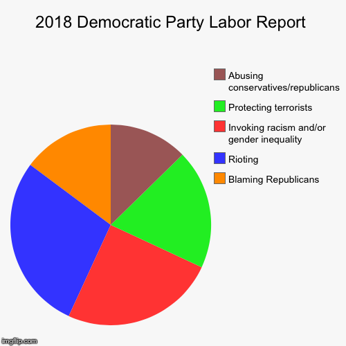 2018 Democratic Party Labor Report | Blaming Republicans, Rioting, Invoking racism and/or gender inequality , Protecting terrorists, Abusing | image tagged in funny,pie charts | made w/ Imgflip chart maker