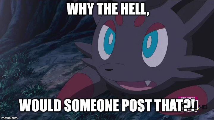 *Sees someone post something lewdish on a Discord server* | WHY THE HELL, WOULD SOMEONE POST THAT?! | image tagged in zorua wtf | made w/ Imgflip meme maker