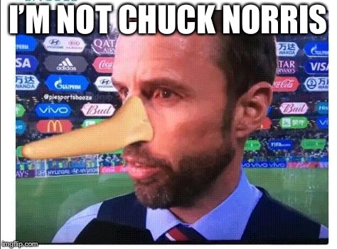 Gareth southgate, england, crap, will get knocked out next round | I’M NOT CHUCK NORRIS | image tagged in gareth southgate england crap will get knocked out next round | made w/ Imgflip meme maker