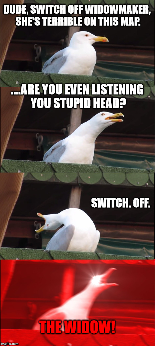 OR GET OFF THE HANZO OR ANA!! | DUDE, SWITCH OFF WIDOWMAKER, SHE'S TERRIBLE ON THIS MAP. ....ARE YOU EVEN LISTENING YOU STUPID HEAD? SWITCH. OFF. THE WIDOW! | image tagged in memes,inhaling seagull | made w/ Imgflip meme maker