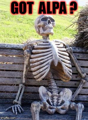 Waiting Skeleton Meme | GOT  ALPA ? | image tagged in memes,waiting skeleton | made w/ Imgflip meme maker