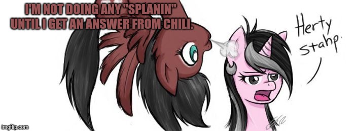 I'M NOT DOING ANY "SPLANIN" UNTIL I GET AN ANSWER FROM CHILI. | made w/ Imgflip meme maker