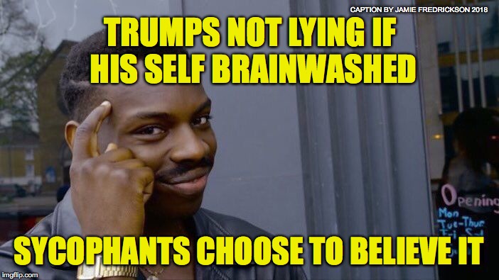 Roll Safe Think About It Meme | CAPTION BY JAMIE FREDRICKSON 2018; TRUMPS NOT LYING IF HIS SELF BRAINWASHED; SYCOPHANTS CHOOSE TO BELIEVE IT | image tagged in memes,roll safe think about it | made w/ Imgflip meme maker