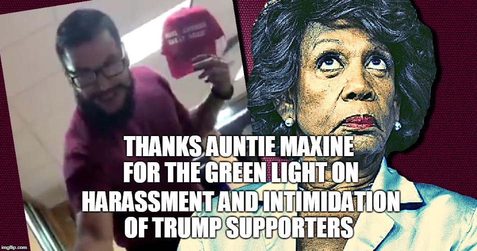 This jerk was charged with a felony  |  THANKS AUNTIE MAXINE FOR THE GREEN LIGHT ON; HARASSMENT AND INTIMIDATION OF TRUMP SUPPORTERS | image tagged in maxine waters,harassment,trump supporters,felon,memes | made w/ Imgflip meme maker