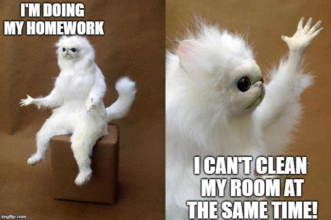 Persian Cat Room Guardian Meme | I'M DOING MY HOMEWORK I CAN'T CLEAN MY ROOM AT THE SAME TIME! | image tagged in memes,persian cat room guardian | made w/ Imgflip meme maker
