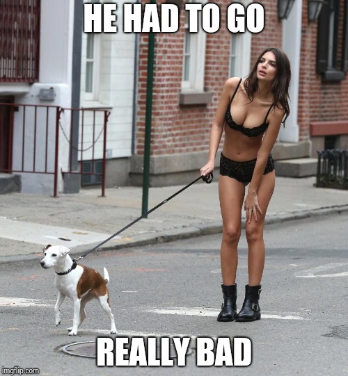 Walking the Dog | HE HAD TO GO REALLY BAD | image tagged in walking the dog | made w/ Imgflip meme maker