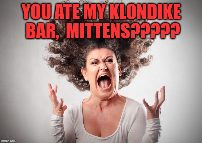 YOU ATE MY KLONDIKE BAR,  MITTENS????? | made w/ Imgflip meme maker