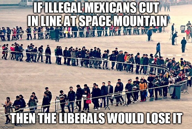 long line | IF ILLEGAL MEXICANS CUT IN LINE AT SPACE MOUNTAIN; THEN THE LIBERALS WOULD LOSE IT | image tagged in long line | made w/ Imgflip meme maker