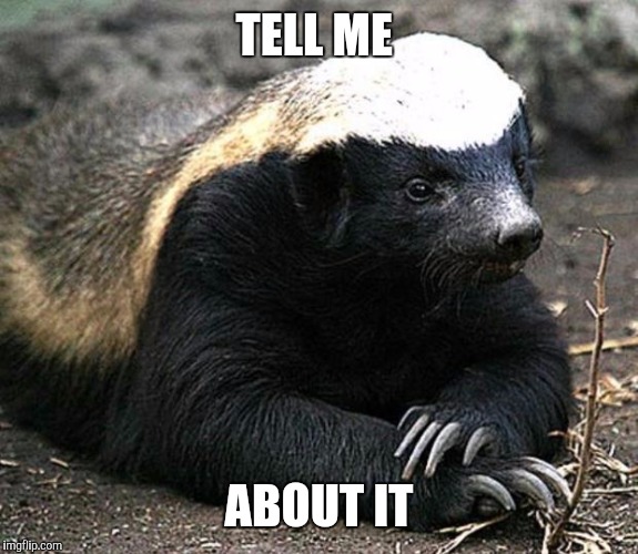Honey badger | TELL ME ABOUT IT | image tagged in honey badger | made w/ Imgflip meme maker