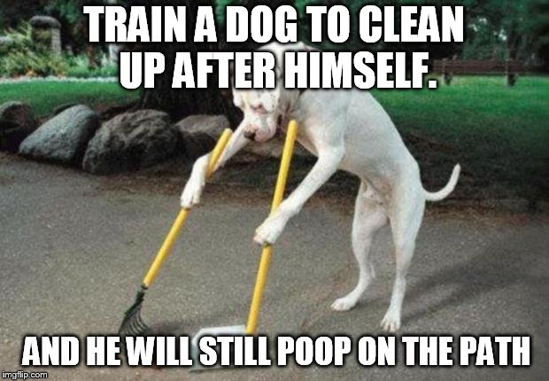 Dog poop | TRAIN A DOG TO CLEAN UP AFTER HIMSELF. AND HE WILL STILL POOP ON THE PATH | image tagged in dog poop | made w/ Imgflip meme maker