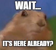 Shocked Rodent | WAIT... IT'S HERE ALREADY? | image tagged in shocked rodent | made w/ Imgflip meme maker