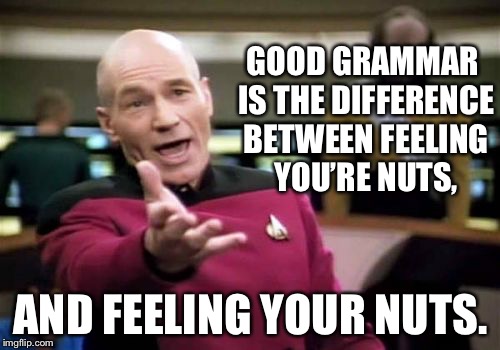 Picard Wtf Meme | GOOD GRAMMAR IS THE DIFFERENCE BETWEEN FEELING YOU’RE NUTS, AND FEELING YOUR NUTS. | image tagged in memes,picard wtf | made w/ Imgflip meme maker