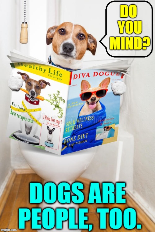 A Bowser Movement | DO YOU MIND? DOGS ARE PEOPLE, TOO. | image tagged in vince vance,dogs,toilets,toilet humor,privacy,going to the toilet | made w/ Imgflip meme maker