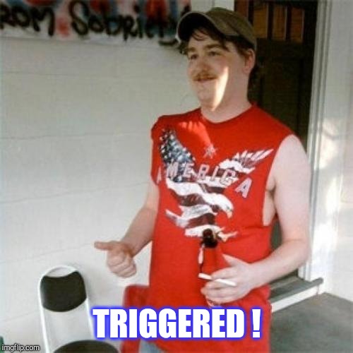 Redneck Randal Meme | TRIGGERED ! | image tagged in memes,redneck randal | made w/ Imgflip meme maker