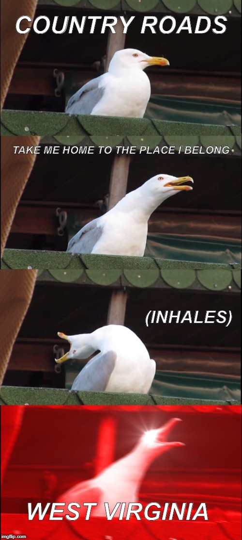 Inhaling Seagull Meme | COUNTRY ROADS; TAKE ME HOME TO THE PLACE I BELONG; (INHALES); WEST VIRGINIA | image tagged in memes,inhaling seagull | made w/ Imgflip meme maker