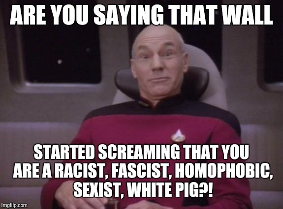picard surprised | ARE YOU SAYING THAT WALL STARTED SCREAMING THAT YOU ARE A RACIST, FASCIST, HOMOPHOBIC, SEXIST, WHITE PIG?! | image tagged in picard surprised | made w/ Imgflip meme maker