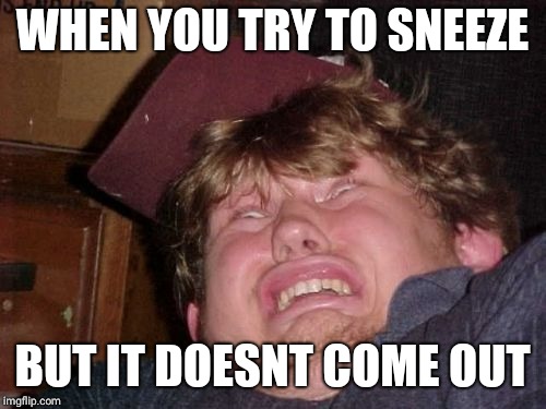 WTF | WHEN YOU TRY TO SNEEZE; BUT IT DOESNT COME OUT | image tagged in memes,wtf | made w/ Imgflip meme maker