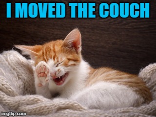 I MOVED THE COUCH | made w/ Imgflip meme maker