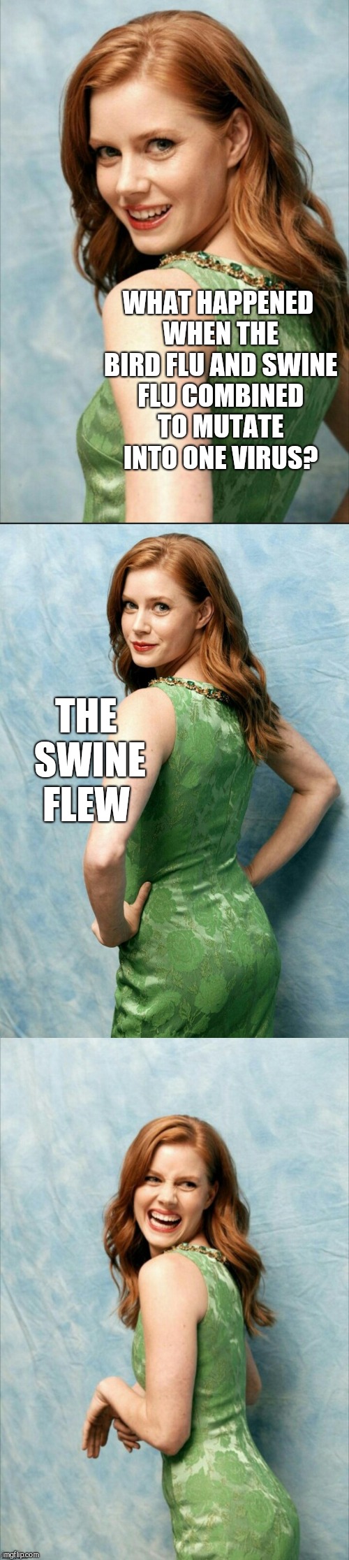 Amy Adams joke template  | WHAT HAPPENED WHEN THE BIRD FLU AND SWINE FLU COMBINED TO MUTATE INTO ONE VIRUS? THE SWINE FLEW | image tagged in amy adams joke template,jbmemegeek,amy adams,bad puns | made w/ Imgflip meme maker