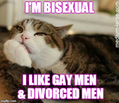 LGBT PhatCat | I'M BISEXUAL; I LIKE GAY MEN & DIVORCED MEN | image tagged in lgbt phatcat | made w/ Imgflip meme maker