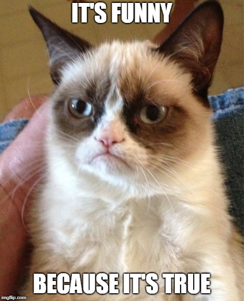 Grumpy Cat Meme | IT'S FUNNY BECAUSE IT'S TRUE | image tagged in memes,grumpy cat | made w/ Imgflip meme maker